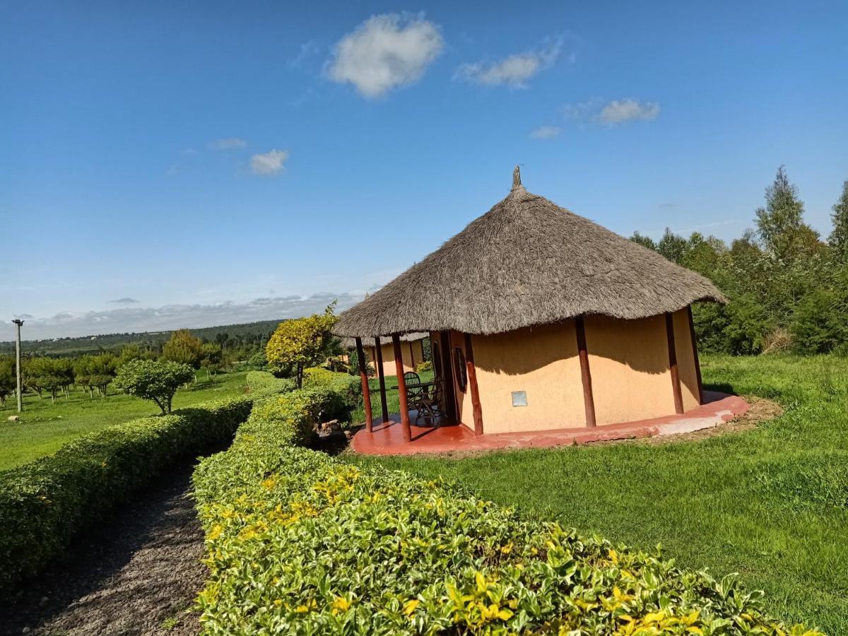 The Great Circle Lodge ナニュキ エクステリア 写真