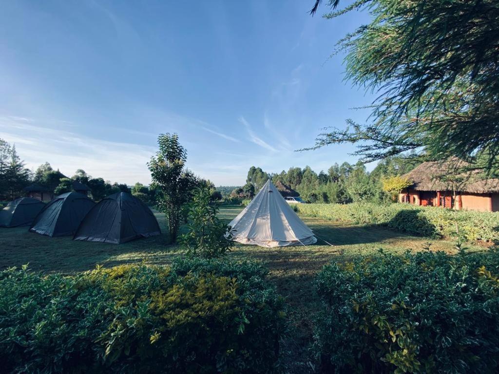The Great Circle Lodge ナニュキ エクステリア 写真